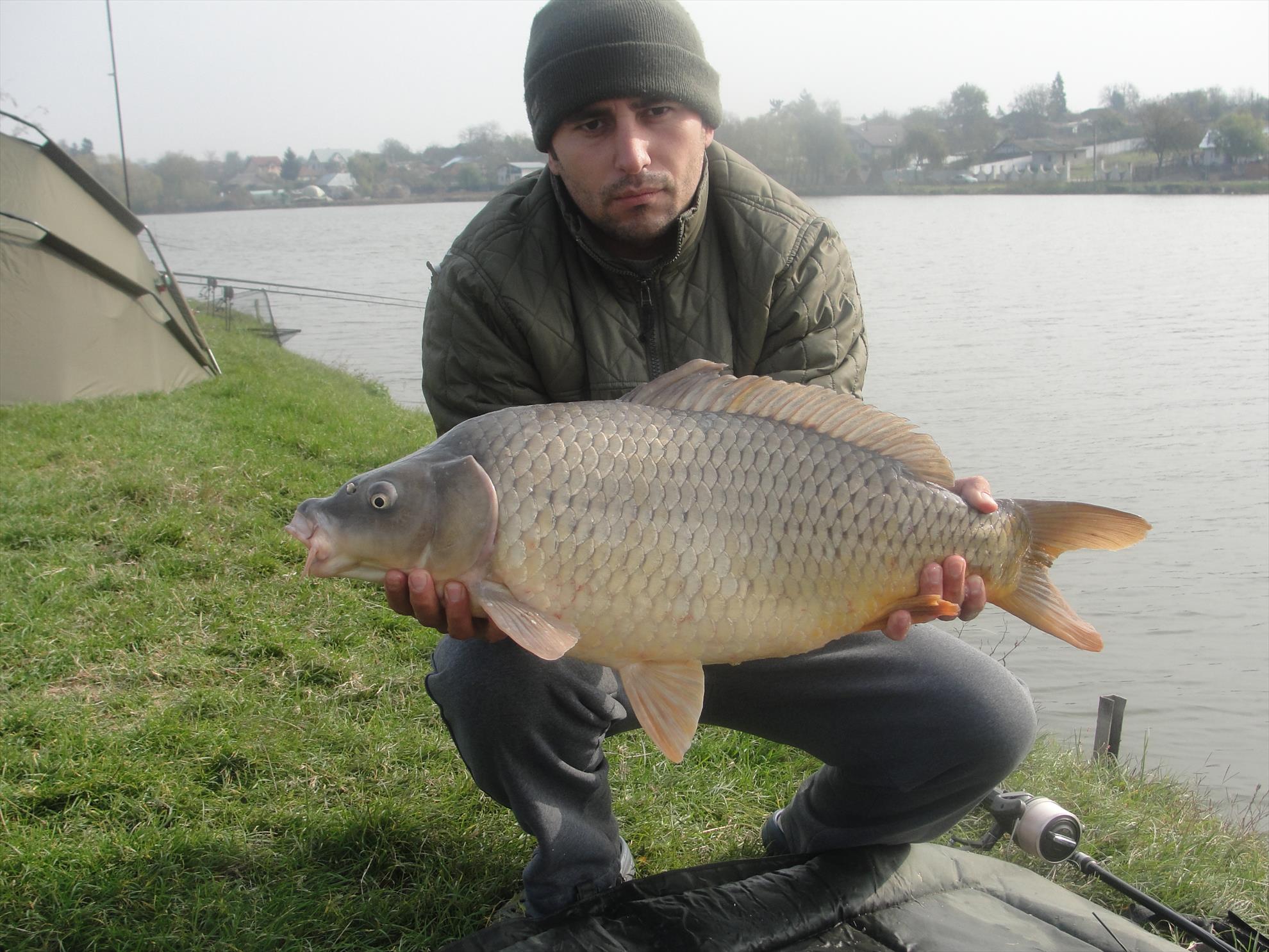 Moara Vlasiei  - dsc00767.JPG